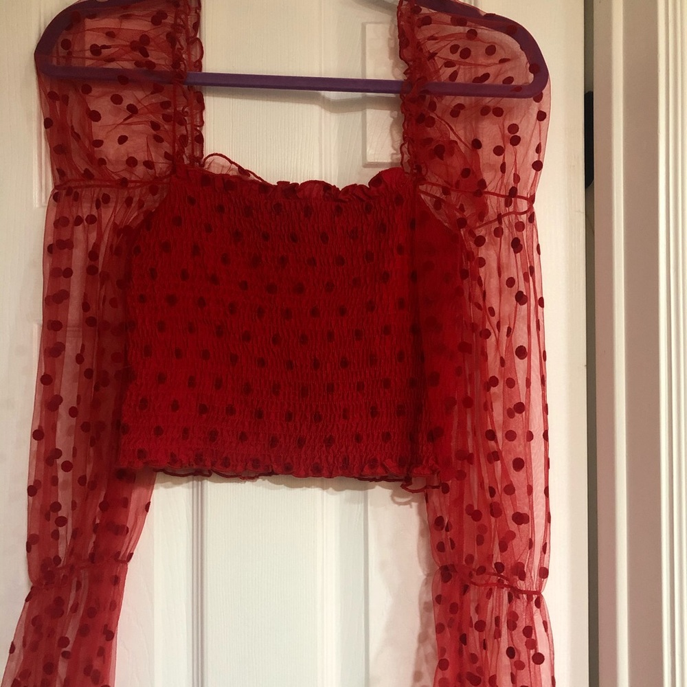 Red Mesh Polka Dot Long Sleeve